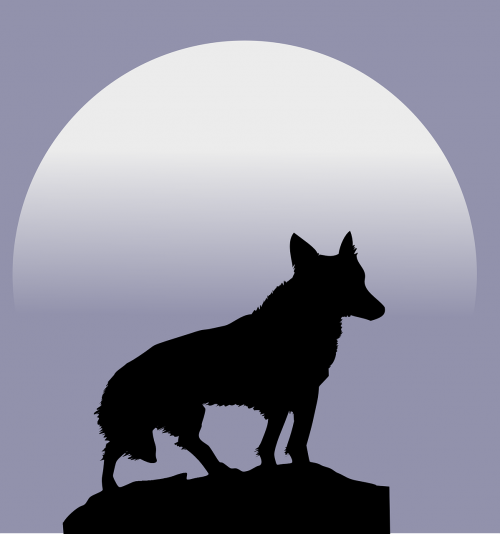 wolf moon silhouette