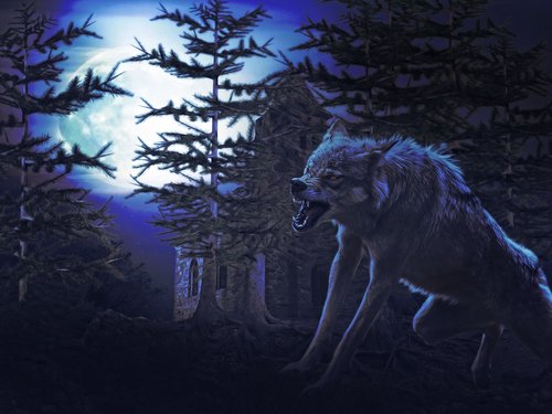 wolf  moon  night