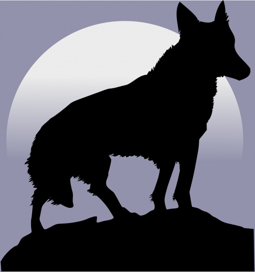 wolf silhouette moon