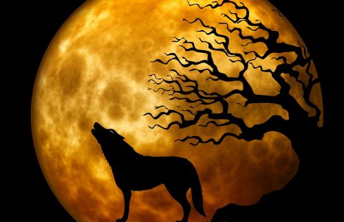 wolf howl moon