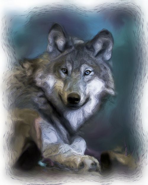 Wolf Paintings