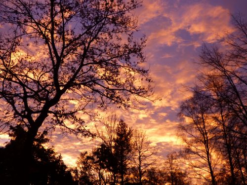 Clouds In The Sky