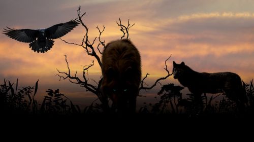 wolves sunset creepy