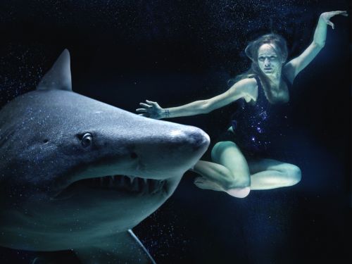 woman hai great white shark