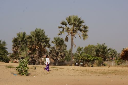 woman beach palmtree