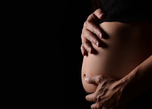 woman adult human pregnancy