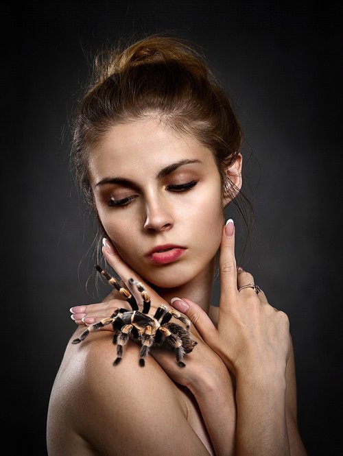woman  tarantula  girl
