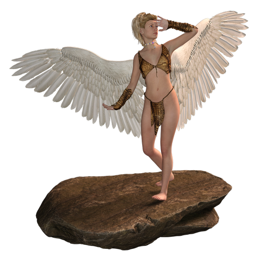 woman  angel  wing
