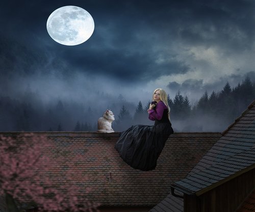 woman  cat  moonlight