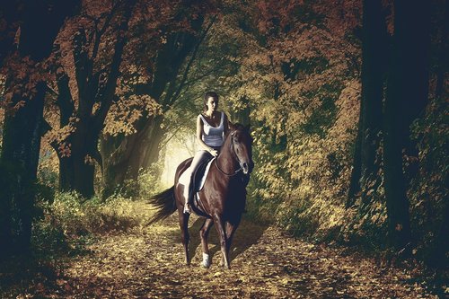 woman  horse backriding  autumn