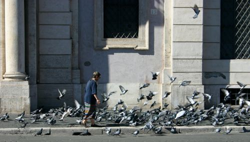 woman pigeons pedestrian