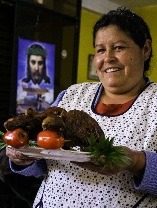 woman lunch guinea pigs