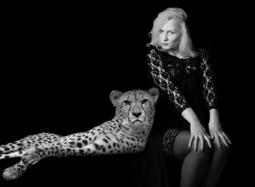 woman cheetah man and animal
