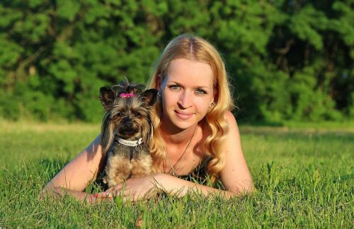woman dog yorkshire terrier