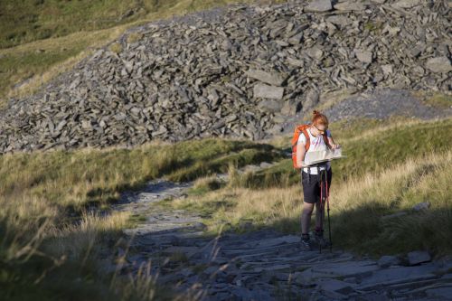 Woman Tourist In Nature Read Map