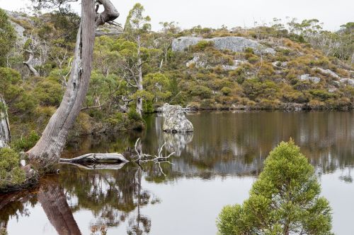 wombat pool cradle mountain tasmania