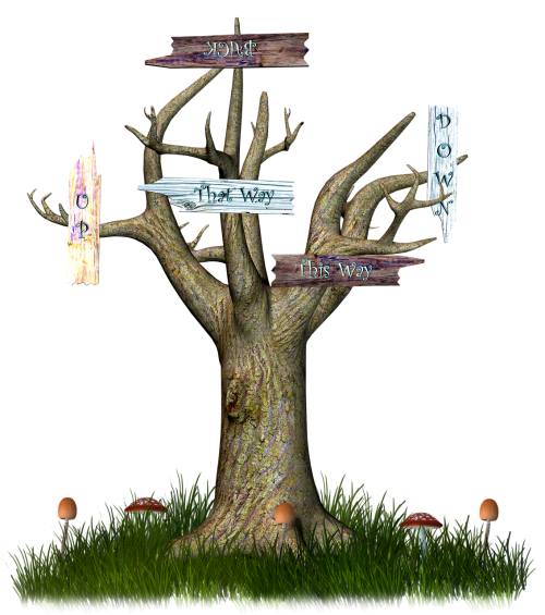 wonderland magic tree sign