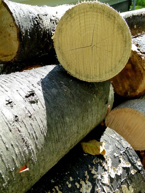wood logs firewood