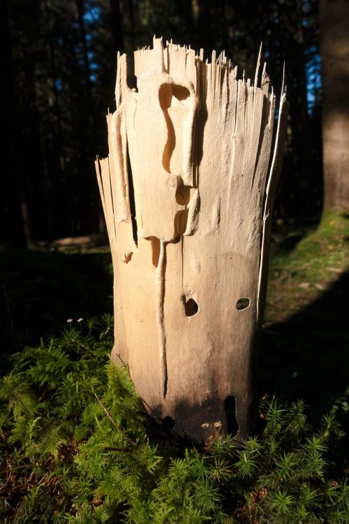 wood sculpture layer