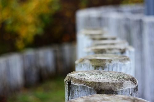 wood fence piles