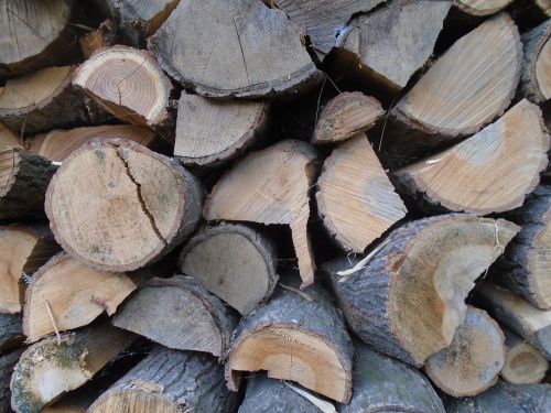 wood woodpile fuel