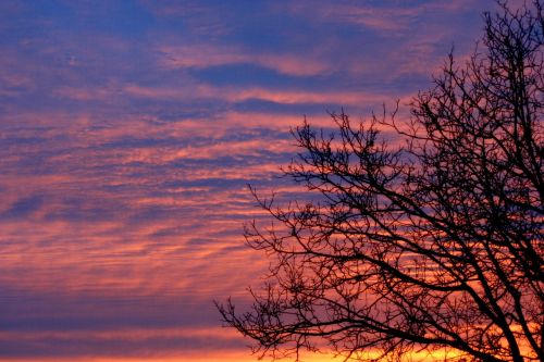 wood sunrise red