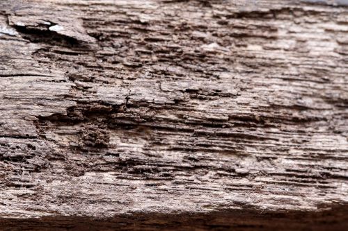 wood texture grain