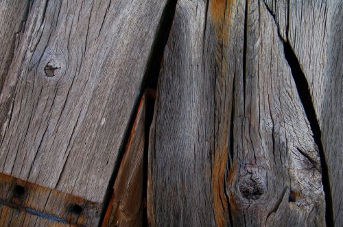 wood logs timber