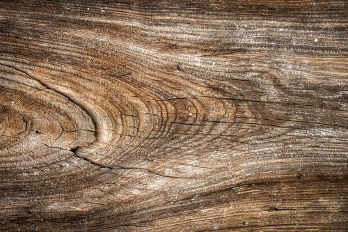 wood texture wild