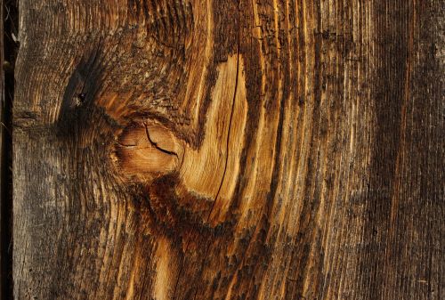 wood board structure