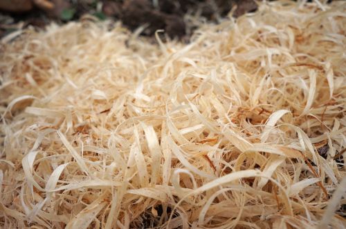 wood wood shavings texture