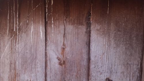 wood door pink