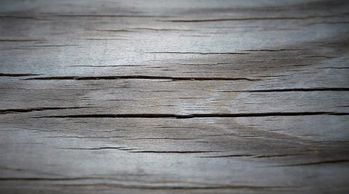 wood wooden wood board texture