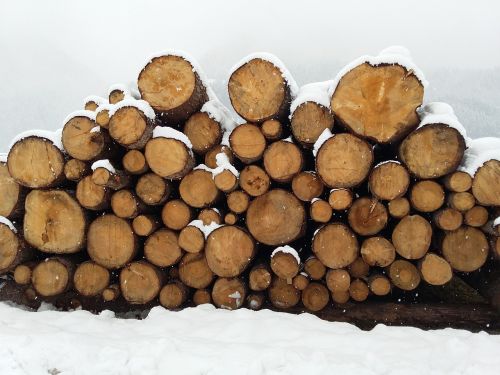 wood winter log