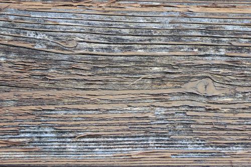 wood board texture