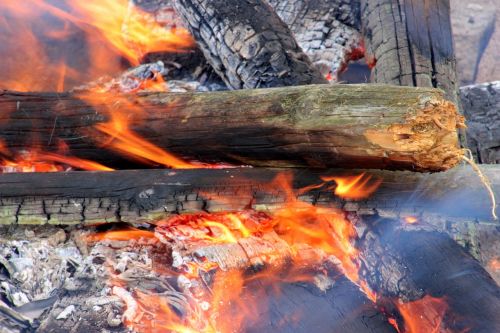 wood fire flame