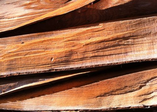 wood cut wood trunk