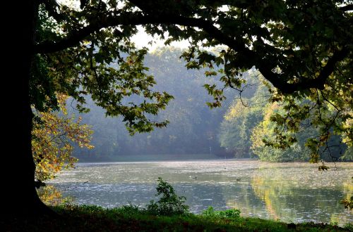 wood lake lakeside