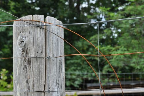 wood fence fencing