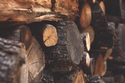 wood detail texture