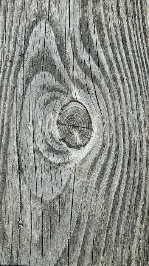 wood node texture