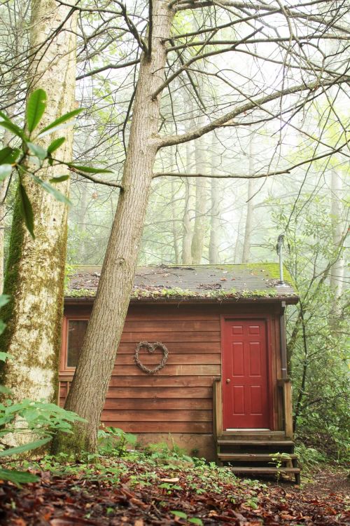 wood cabin love nest