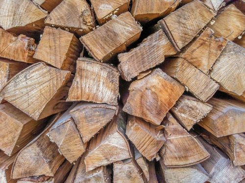 wood cut wood wood pile