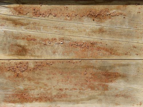 wood background texture