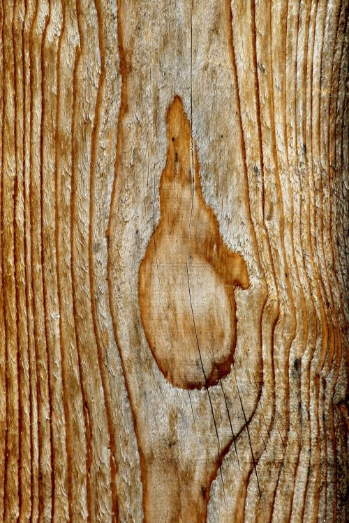 wood timber material