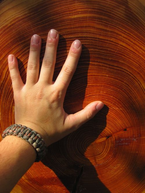 wood hand grain