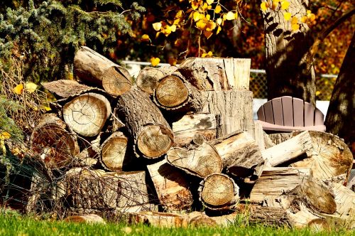 wood pile woodpile