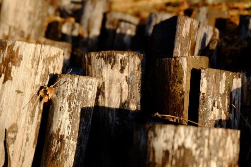 wood construction rustico