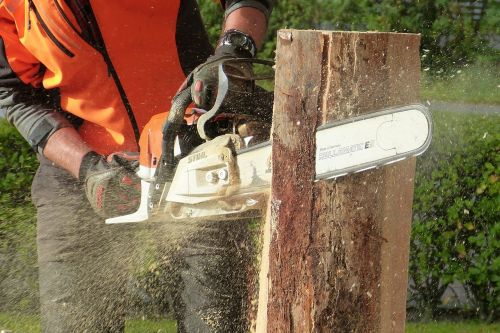 wood chainsaw tree