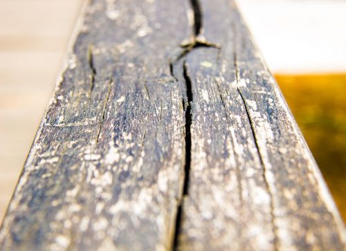 wood wood background crack